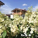 Bergchalet Falkenstein, בקתה אינזל