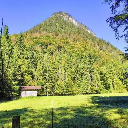 シャレー Bergchalet Falkenstein, *