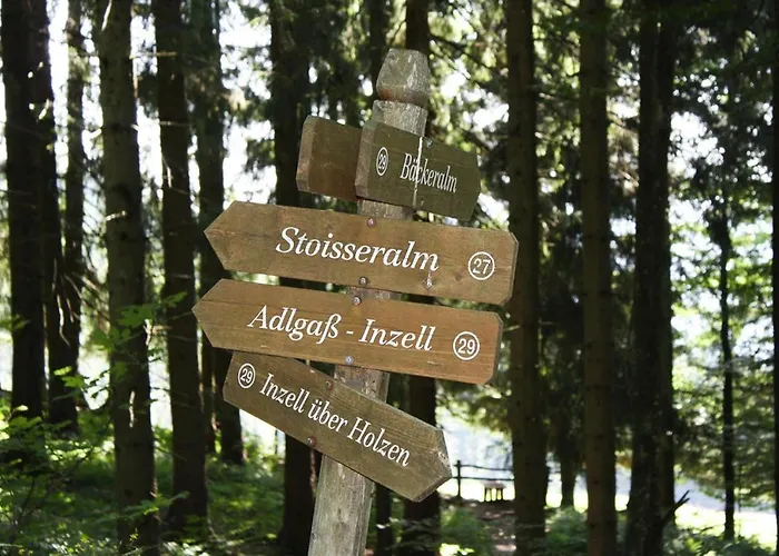 Bergchalet Falkenstein,